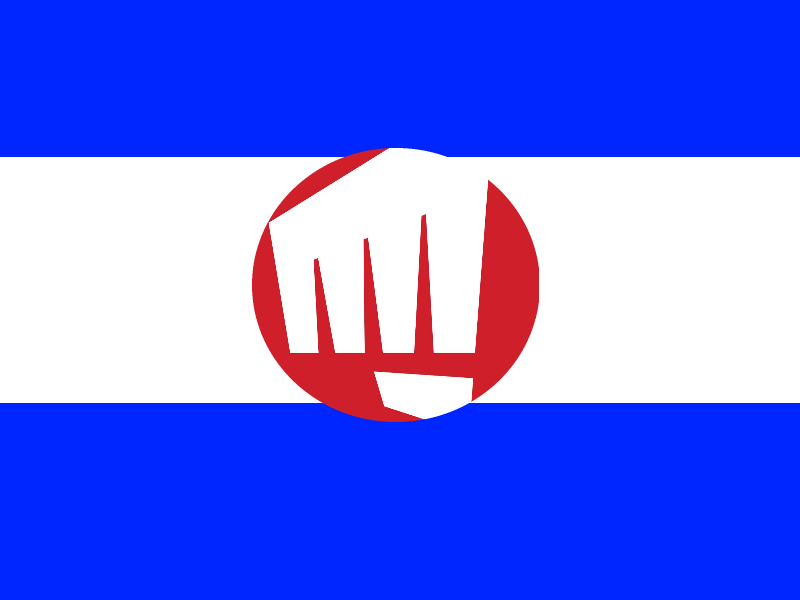 File:Riot military division flag.png