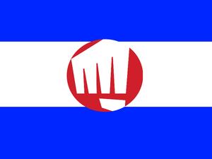 Riot military division flag.png